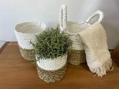 Imagen del producto de Juego de cestas de algas marinas - Blanco natural
