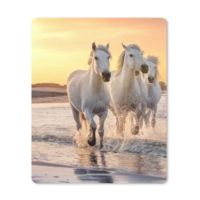 Produktbild von MuchoWow® Mauspad Mousepad Pferde - Sonne - Meer - Strand - Tiere 19x23 cm - Mousepads - Maus Mat - Pad - Mausunterlage - Mauspads - Spielen