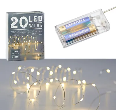 Mikro-Draht-Lichterkette, 20 warmweiße LEDs, 220 cm, silber