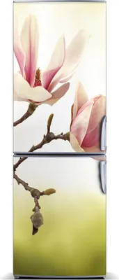 Imagen del producto de Decoración para nevera Tulup: Alfombrilla magnética, 60 cm x 180 cm. Imán para nevera con motivos de flores de magnolia