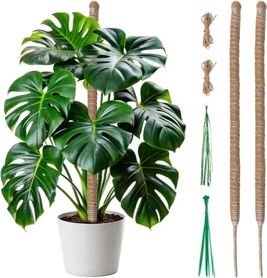 Produktbild von Rankhilfe Monstera Moosstange für Pflanzen, 2 x 60 cm, biegbare Rankhilfe für Kletterpflanzen, handgefertigte Kokosfaser, Moosstange mit Aluminiumkern