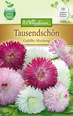 Produktbild von Gänseblümchen Gefüllt | Blumensamen von N.L. Chrestensen