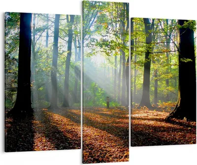 Produktbild von Bild auf Leinwand - Leinwandbild - Wald Blätter Sonne - 95x80cm - Wand Bild - Wanddeko - Wandbilder - Leinwanddruck - Bilder - Kunstdruck - Wanddekoration - Leinwand bilder - Wandkunst - CB95x80-0136