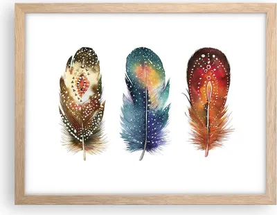 Produktbild von Gerahmtes Poster - Rahmen in heller Eiche - Feder Vogel Farbe - 40x30 cm - Wand Bild - Wanddeko - Wandbilder - Kunstposter - Wandposter - Bilderrahmen - Bilder - Kunstdruck - P2NAA40x30-4927