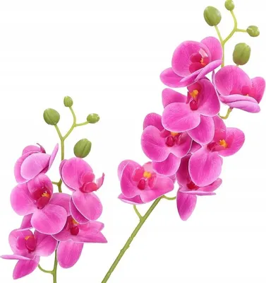 Obrázek produktu pro Umělá větev orchideje 75 cm
