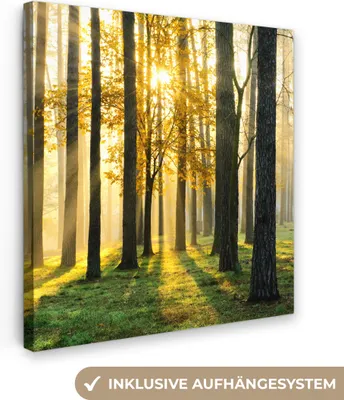 Produktbild von MuchoWow® - Leinwandbilder - Wald - Sonne - Bäume - Gras - Landschaft - Natur, Wandbild, Wanddeko Bilder Wohnzimmer, 50x50cm