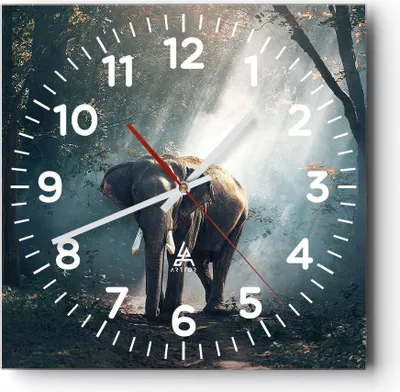 Produktbild von Wanduhr - Quadrat - Glasuhr - elefant natur - 40x40cm - Schleichendes Uhrwerk - Lautlos - zum Aufhängen bereit - Dekoration Modern - Wanddekoration aus Glas - C4AC40x40-3972
