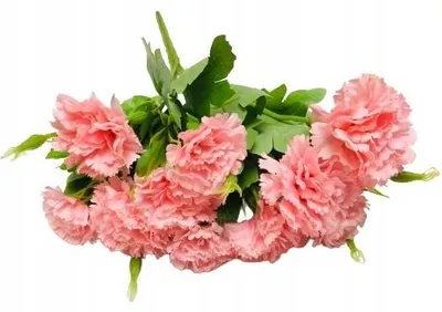 Produktbild von Domosfera Künstliche Rosa Nelken Strauß Dekoration Frühling