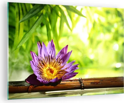 Produktbild von Bilder auf glas - Asien spa bambus blume - 70x50cm - Glasbilder - Wandbilder - Kunstdruck - zum Aufhängen bereit - Wanddekoration aus Glas - Glas Bilder - Wandbild auf Glas - Einteilig - GAA70x50-2476