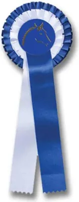 Produktbild von Preisschleife mit Doppelrosette blau