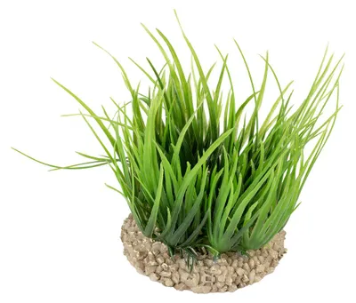 Productafbeelding van Aqua D'ella Helanthium groen kunstplant voor aquarium en terrarium | 8,5 x 8,5 x 10 cm 8,5x8,5x10cm