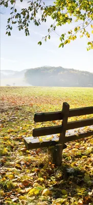 Produktbild von Türtapete Türposter Idyllische Holzbank in den Bergen - Größe: 93 x 205 cm