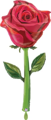 Produktbild von Folienballon rote Rose mit Stiel 68 x 166 cm