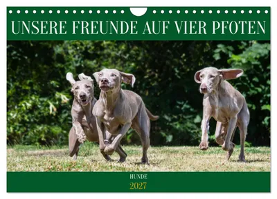 Produktbild von Unsere Freunde auf vier Pfoten - Hunde (Wandkalender 2027 DIN A4 quer), CALVENDO Monatskalender