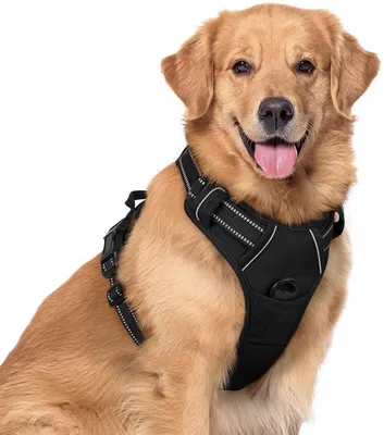 Produktbild von Anti-Zug Hundegeschirr mit Leine – Y-Harness, reflektierend, Schwarz, Gr. L