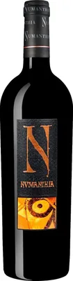 Immagine prodotto di Numanthia Toro 2020 | Toro, Spagna | 750ml 15.00% Vol.