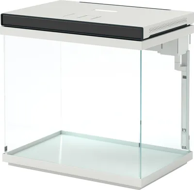 Image de aquarium de 26 litres avec filtre, éclairage LED, pompe à eau, pour différentes espèces de poissons, env. 38 x 26 x 38 cm