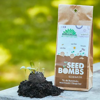 Zdjęcie produktu dla 5 bomb nasiennych „Pastwisko dla pszczół” – ręcznie robione bomby nasienne z mieszanką dzikich kwiatów przyjaznych pszczołom – kwiaty jednoroczne 30–100 cm – pomysł na ekologiczny prezent