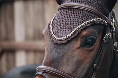 Immagine prodotto di Kentucky Horsewear Fly Cap lungo Stone & Pearl Soundless Fly Hood Marrone