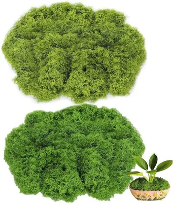 Image de Mousse artificielle en 2 couleurs, 200 g, stabilisée, idéale pour les loisirs créatifs, les décorations de printemps et Pâques