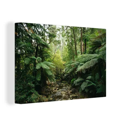 Zdjęcie produktu dla OneMillionCanvasses® - Obraz na płótnie - 150x100 cm, Forest in Victioria, Australia, dekoracja ścienna z grafiką ścienną