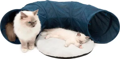 Immagine prodotto di Tunnel per gatti Vesper - blu