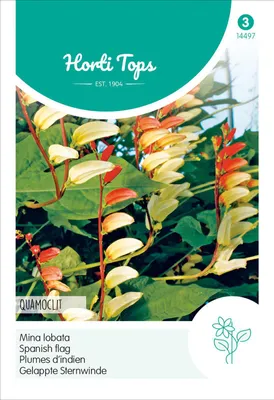 Produktbild von Gelappte Sternwinde Quamoclit | Blumensamen von Hortitops