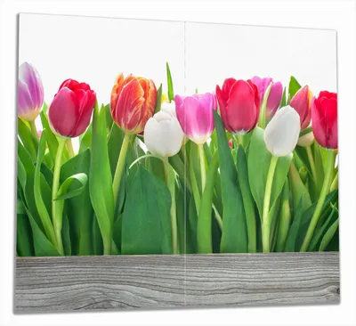 Produktbild von Wallario Herdabdeckplatte aus Glas, Größe 60 x 52 cm 2-teilig, Motiv Rote  weiße und pinke Tulpen im Frühling
