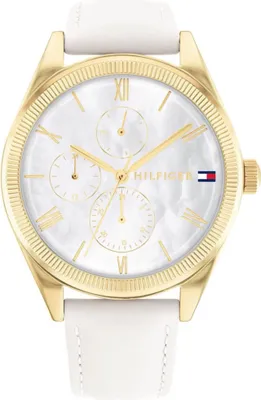 Image de Montre Tommy Hilfiger ty529560