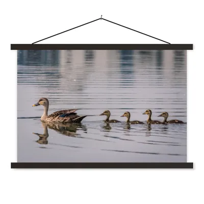 Produktbild von MuchoWow® Textilposter Ente - Wasser - Vogel - Braun 60x40 cm mit schwarzem Rahmen - Hölzernes