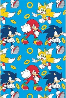 Immagine prodotto di Sonic The Hedgehog - Coperta Speed, Pile TC587 (150 cm x 100 cm) (Multicolore)