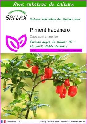 Image de SAFLAX - Piment habanero - 10 graines - Avec substrat - Capsicum