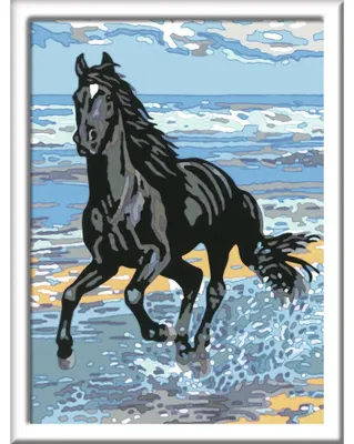 Image de Cheval sur la plage Ravensburger 28565