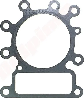 Image de Joint de tête Pour Briggs & Stratton ( 272614 , 273280 )