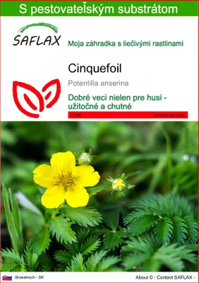 Obrázok produktu pre SAFLAX - cinquefoil - Potentilla anserina - 20 Semená - S pestovateľským substrátom bez klíčkov