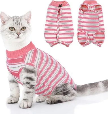 Productafbeelding van Kattenbody na operatie - Postoperatieve kleding en bescherming voor katten, S-koraal