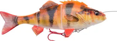 Produktbild von Savage Gear 4D Line Thru Perch Gummifisch Barsch, Farbe:Albino, Länge / Gewicht:23cm - 145g