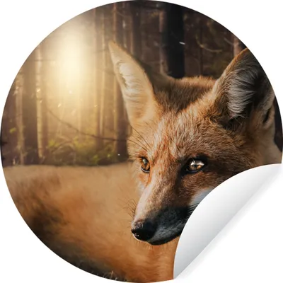 Produktbild von MuchoWow® - Wandbild - Fototapete - Selbstklebend - Dekoration - Wandschmuck - Schlafzimmer