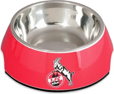 Image de 1. FC Cologne gamelle "Fressbüdche" moyenne, 350ml