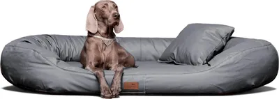 Produktbild von Orthopädisches Hundebett LENNART VISCO PLUS Kunstleder - Größe: 140x105cm | Farbe: 06 Grau