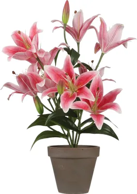 Obrázek produktu pro Mica Decorations Tygří lilie umělá rostlina v květináči Stan - V47 x Ø45 cm - Fuchsie