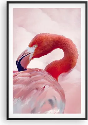Produktbild von Gerahmtes Poster - Schwarzer Rahmen - Flamingo Vogel Porträt - 61x91,5 cm - Wand Bild - Wanddeko - Wandbilder - Kunstposter - Wandposter - Bilderrahmen - Bilder - Kunstdruck - P2BPA61x91-4984
