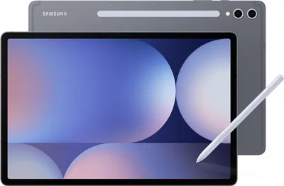 Image de Samsung Galaxy Tab S10+ 12,4" 256 Go/12 Go Wi-Fi+5G Gris