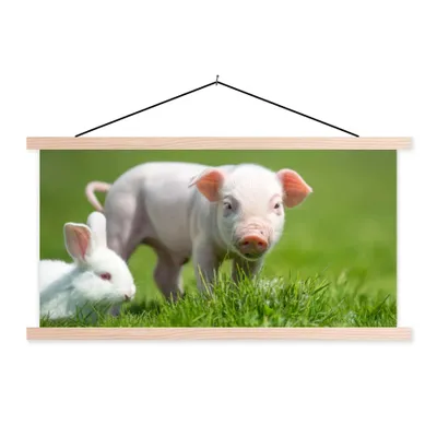 Produktbild von MuchoWow® Textilposter Ferkel - Kaninchen - Tiere 120x60 cm mit holzfarbenen Rahmen - Klemmleiste