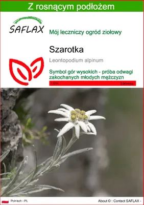 Zdjęcie produktu dla SAFLAX - Szarotka - 500 Nasiona - Z podłożem uprawowym wolnym od zarazków - Leontopodium alpinum