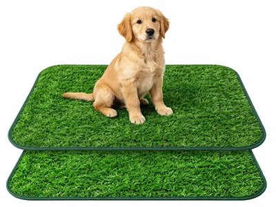 Image de Deux tapis d'herbe synthétique pour chiens, réutilisables, pour une utilisation en intérieur