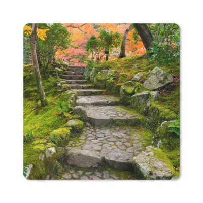 Produktbild von MuchoWow® Mauspad Mousepad Natur - Steine - Kröte - Moos - Japanisch 20x20 cm - Mousepads - Maus Mat - Pad - Mausunterlage - Desk Mat - Bureauartikeln