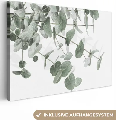 Obrázok produktu pre MuchoWow® - Plátno - Eukalyptus - Listy - Príroda - Zelená, nástenná maľba, nástenné dekorácie obrazy obývacia izba, 120x80cm