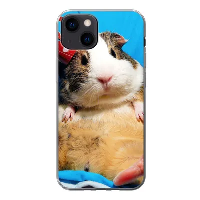 Produktbild von MuchoWow® Handyhülle Schutzhülle Hülle für iPhone 13 Meerschweinchen - Lustig - Krone - Kinder - Jungen - Mädchen - Kind Silikon Softcase Handy Hülle - Karteninhaber