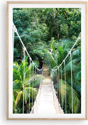 Produktbild von Gerahmtes Poster - Rahmen in heller Eiche - Tropen Dschungel Brücke - 61x91,5 cm - Wand Bild - Wanddeko - Wandbilder - Kunstposter - Wandposter - Bilderrahmen - Bilder - Kunstdruck - P2NPA61x91-4963